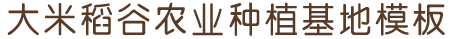 上海智火信息科技有限公司